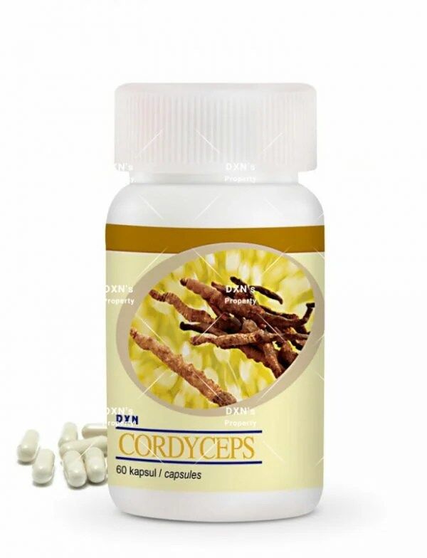Dxn Cordyceps 120tabs Dxn Pakistan Online Shop