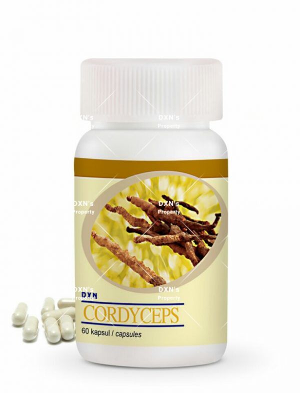 Dxn Cordyceps 120tabs Dxn Pakistan Online Shop Dxn Cordyceps 120tabs Dxn Pakistan Online Shop