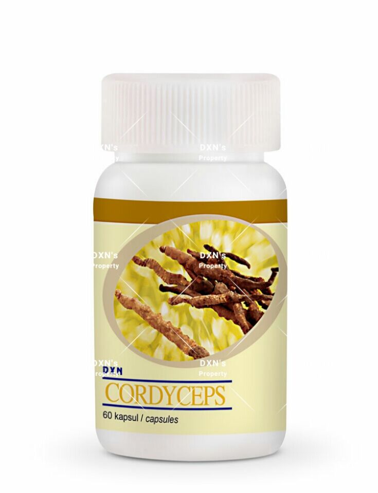 Dxn Cordyceps 120tabs Dxn Pakistan Online Shop Dxn Cordyceps 120tabs Dxn Pakistan Online Shop