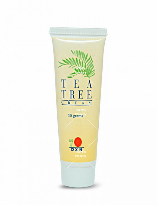 DXN Tea Tree Cream DXN Pakistan DXN Tea Tree Cream DXN Pakistan